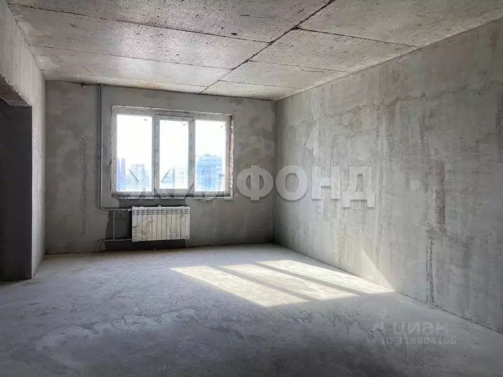 3-к кв. Новосибирская область, Новосибирск ул. Красина, 56 (76.5 м) - Фото 1
