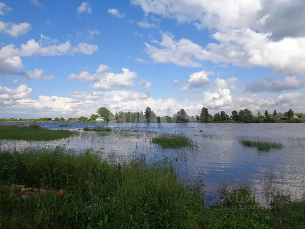 Участок в Вологодская область, Сокольский муниципальный округ, д. ... - Фото 1