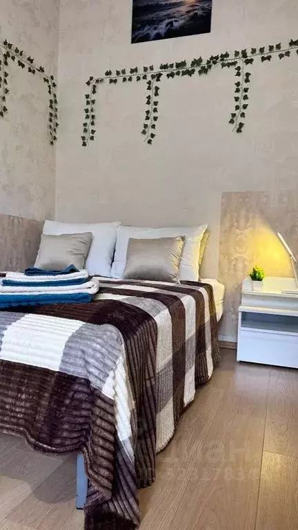 Студия Московская область, Подольск городской округ, д. Бородино ш. ... - Фото 2