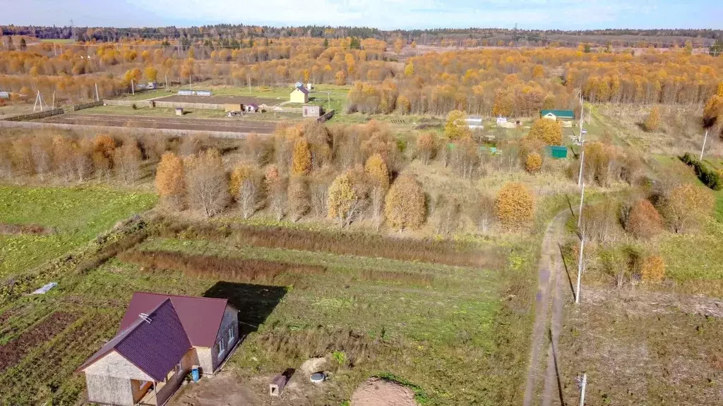 Участок в Ленинградская область, Волосовский район, д. Большая Вруда ... - Фото 1