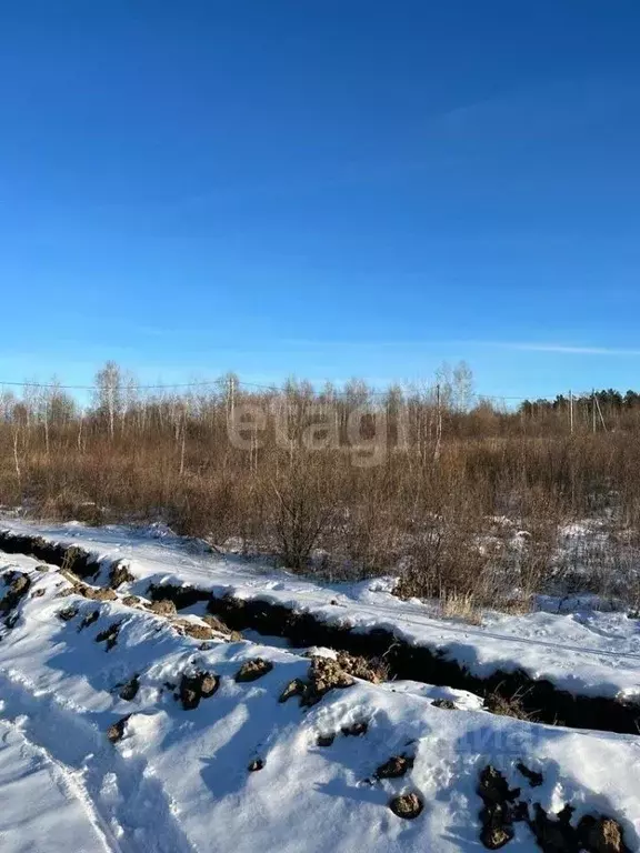 Участок в Амурская область, Благовещенский район, Станичное тер.  ... - Фото 1