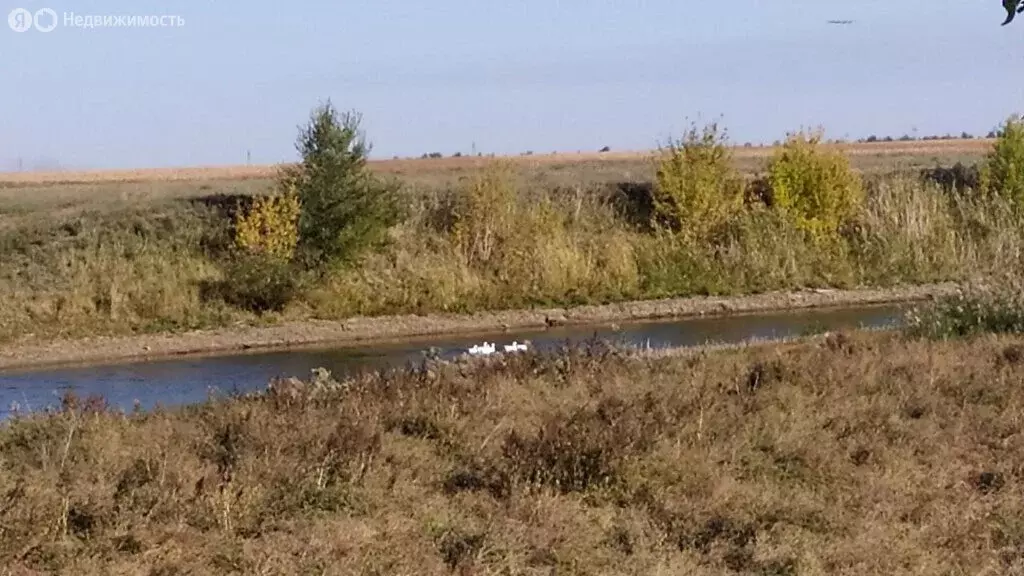 Дом в село Никольское-Казаково, улица Ворошилова (58 м) - Фото 0