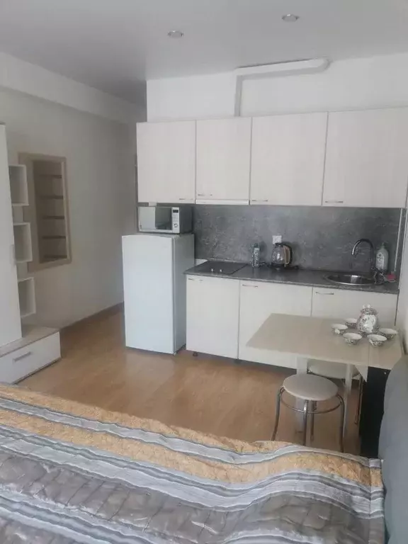 Студия Краснодарский край, Сочи городской округ, Дагомыс пгт ул. ... - Фото 1