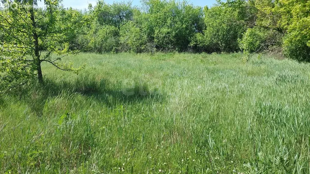 Участок в Белгородская область, Валуйский муниципальный округ, село ... - Фото 2