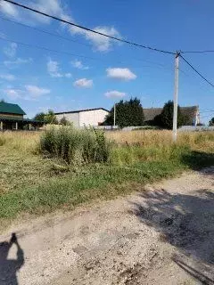 Участок в Нижегородская область, Богородский муниципальный округ, д. ... - Фото 2