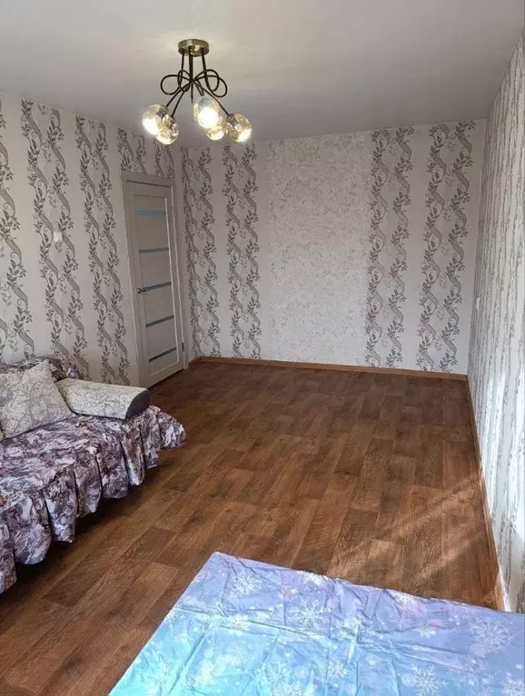 1-к кв. Курганская область, Курган ул. Радионова, 18А (29.9 м) - Фото 2