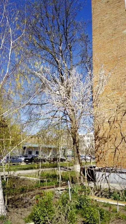 1-к кв. Ростовская область, Таганрог Инструментальная ул., 43Ак4 (44.7 ... - Фото 2