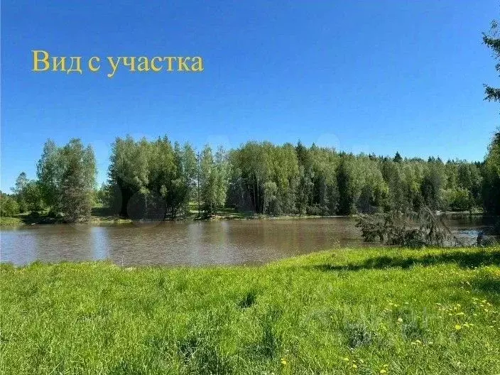 Участок в Калужская область, Боровский муниципальный округ, с. Ворсино ... - Фото 2