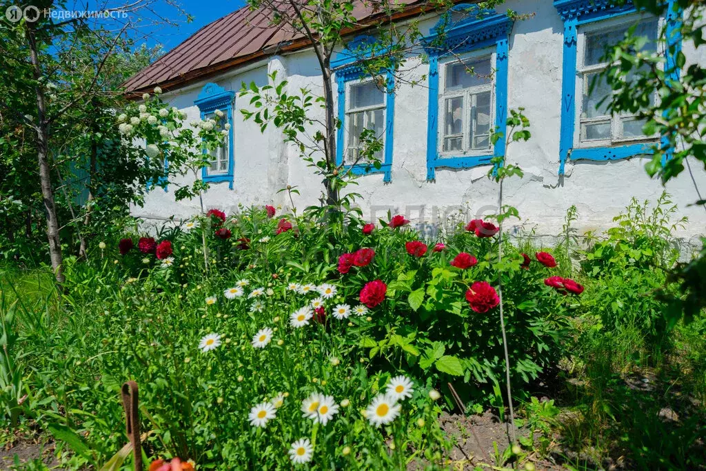 Дом в село Каликино, Интернациональная улица, 12 (34 м) - Фото 1