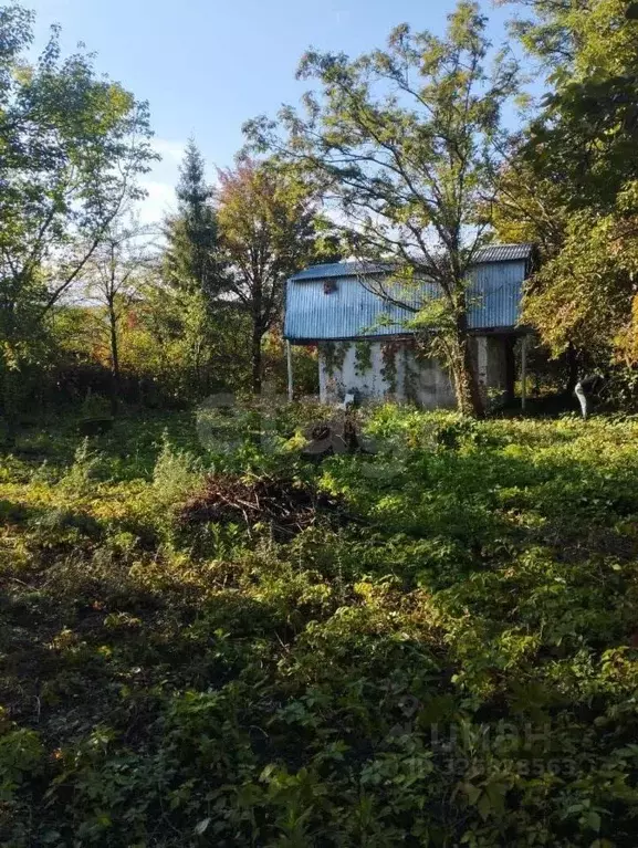 Участок в Самарская область, Красноярский район, Новосемейкино ... - Фото 1