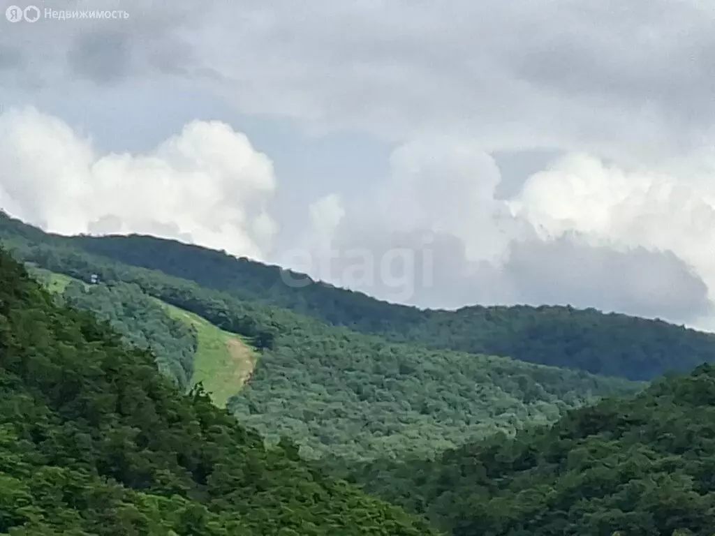 Участок в Аша, СНТ Сад № 8 Гудок (4 м) - Фото 1
