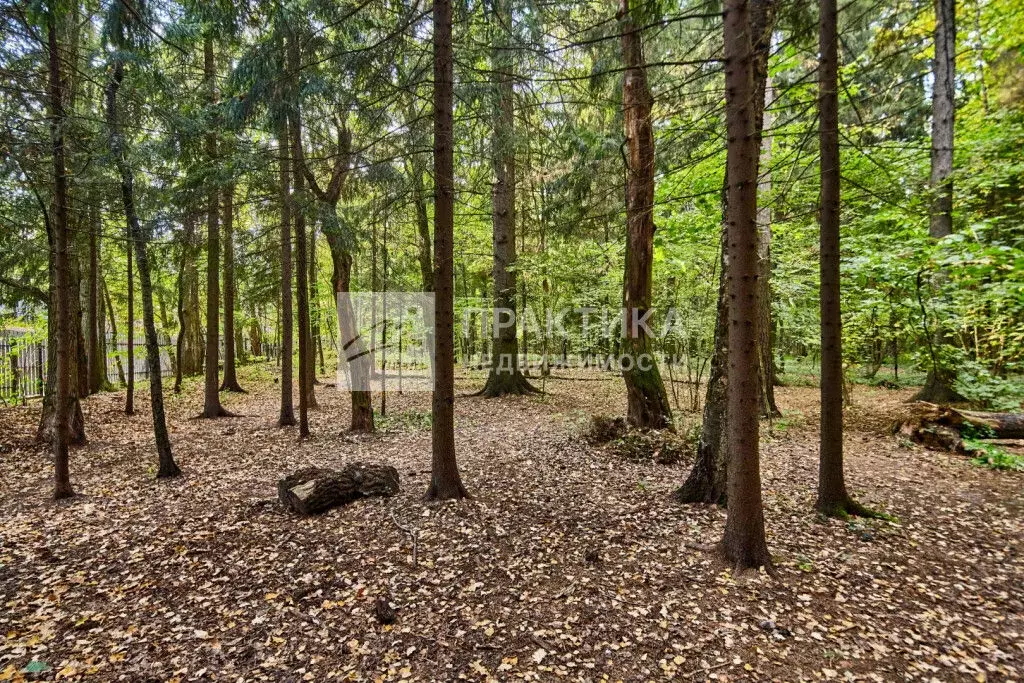 Продается участок в д. Сабурово - Фото 1