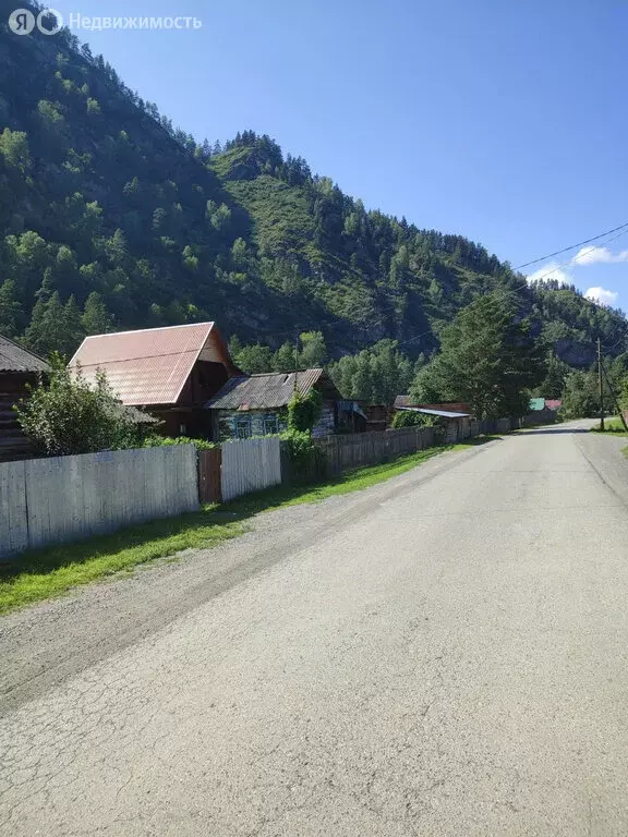 Участок в Чемальский район, село Еланда (20 м) - Фото 1