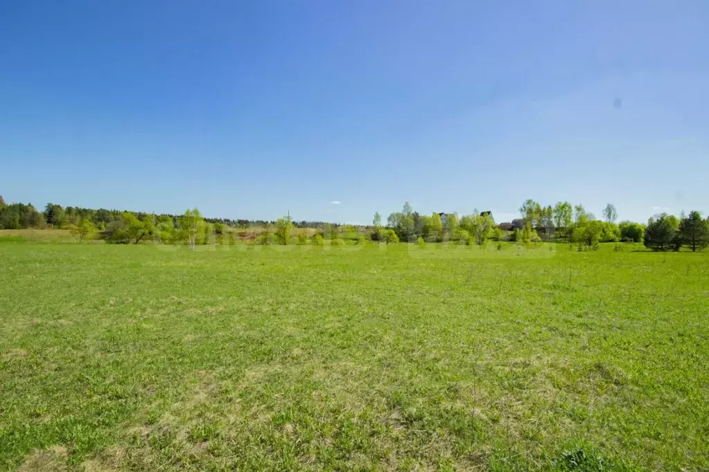 Участок в Московская область, Наро-Фоминский городской округ, Деревня ... - Фото 1