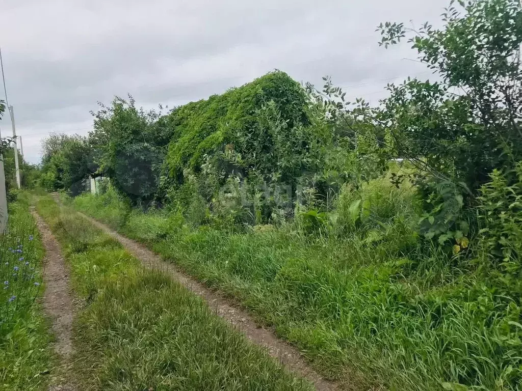 Участок 4 сот. (СНТ, ДНП) - Фото 0