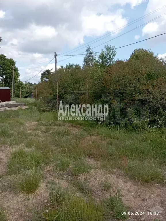 Участок 11 сот. (ИЖС) - Фото 1