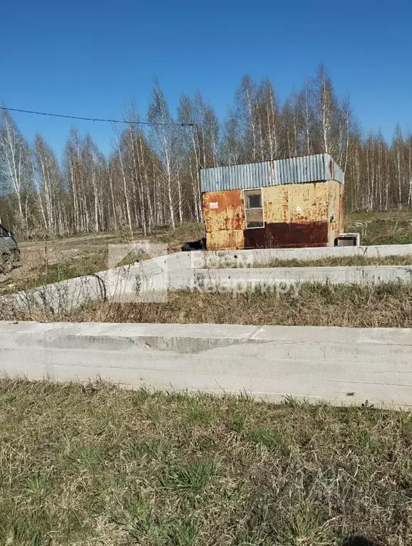 Участок в Новосибирская область, Новосибирск Сибиряк-2 СТ,  (7.0 сот.) - Фото 0