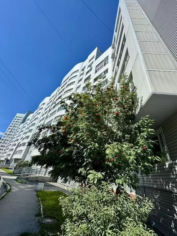 3-к кв. Алтайский край, Барнаул тракт Павловский, 227 (88.0 м) - Фото 1