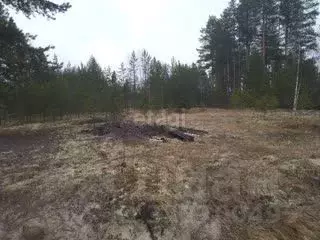 Участок в Коми, Сыктывдинский район, с. Выльгорт, Ирга СДТ  (10.0 ... - Фото 0