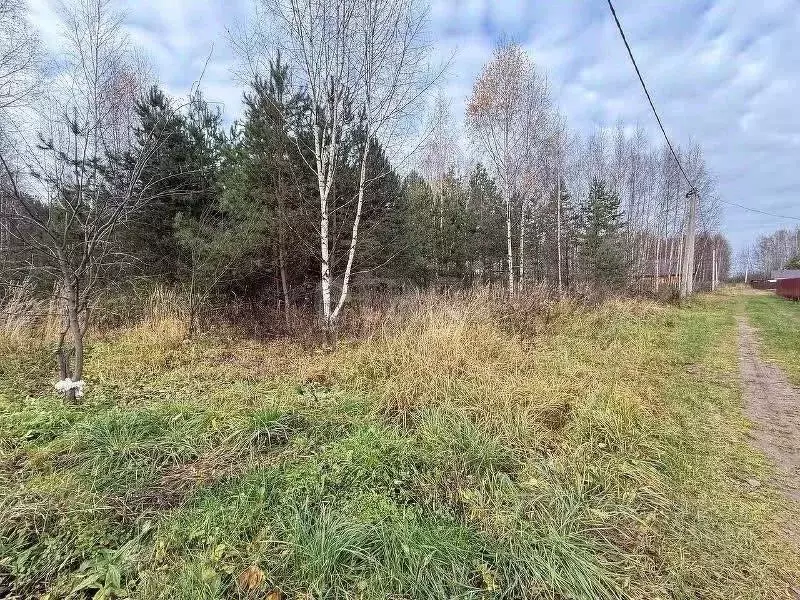 Участок в Ярославская область, Некрасовский муниципальный округ, д. ... - Фото 0