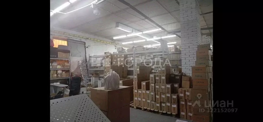 Склад в Новосибирская область, Новосибирск Северо-Чемской жилмассив, ... - Фото 1