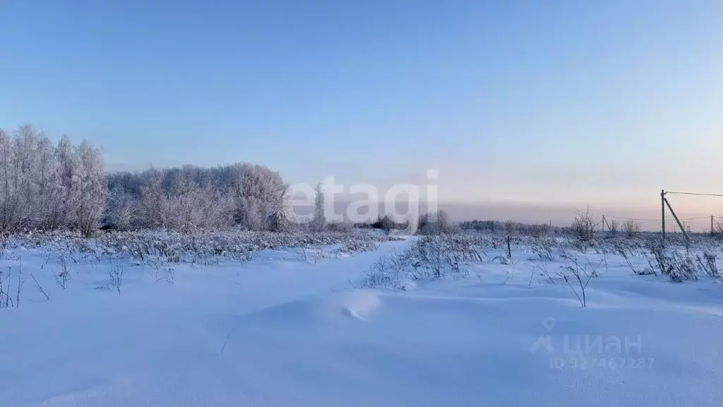 Участок в Тульская область, Тула городской округ, д. Новая Знаменка  ... - Фото 1