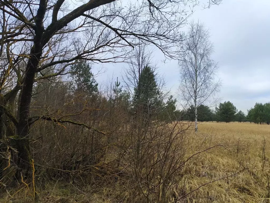Участок в Московская область, Раменский муниципальный округ, д. ... - Фото 2