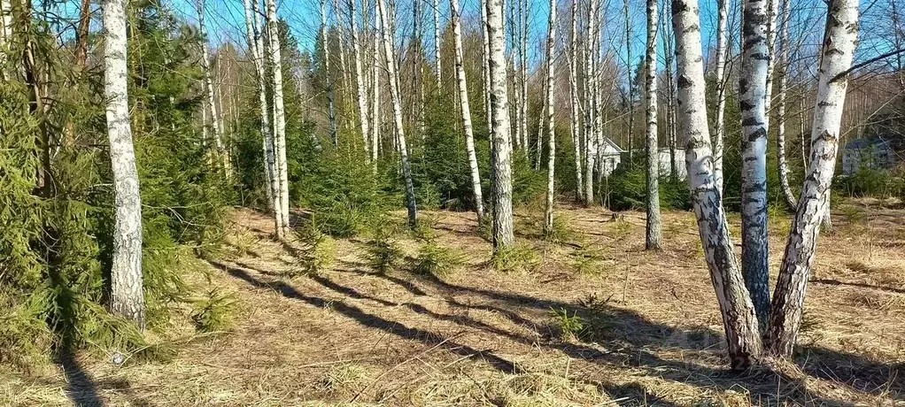 Участок в Москва д. Ярцево, ул. Ярцевские Поляны-1, 32 (8.0 сот.) - Фото 1