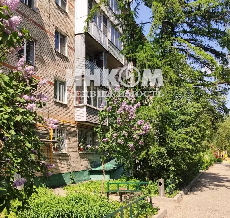 3-к кв. Московская область, Пушкинский городской округ, Зеленоградский ... - Фото 2