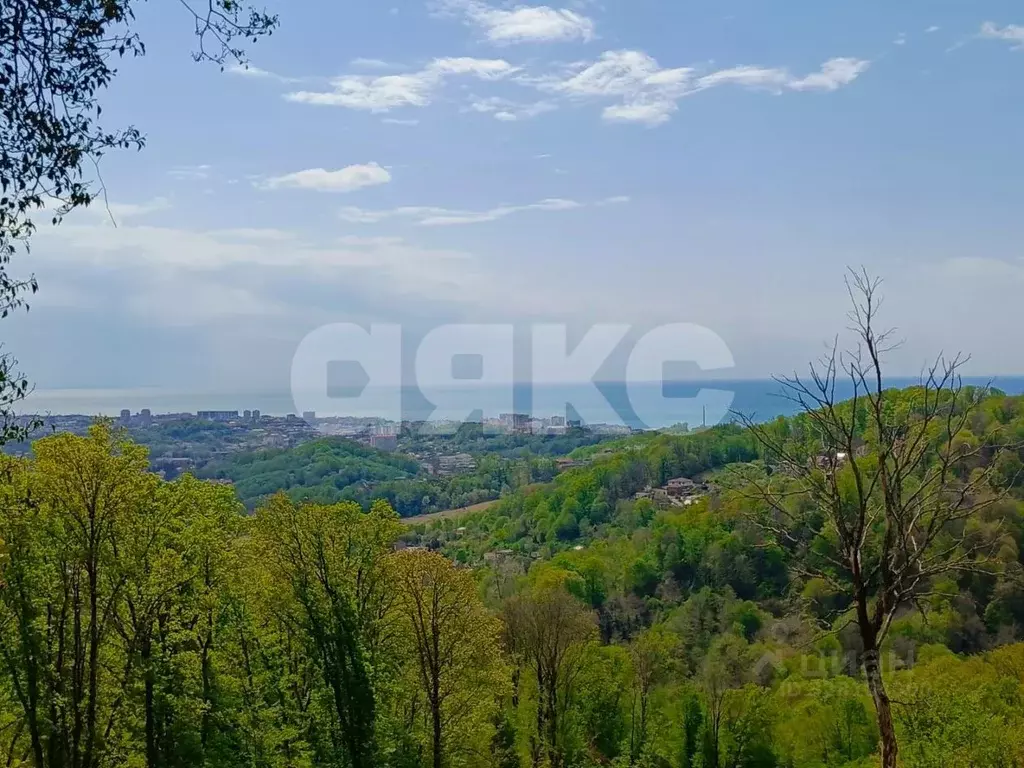 Участок в Краснодарский край, Сочи городской округ, с. Орел-Изумруд ... - Фото 2