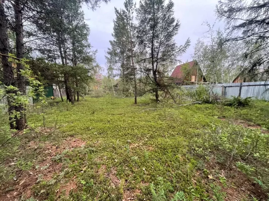 Участок в Саха (Якутия), Якутск городской округ, с. Маган  (6.0 сот.) - Фото 1