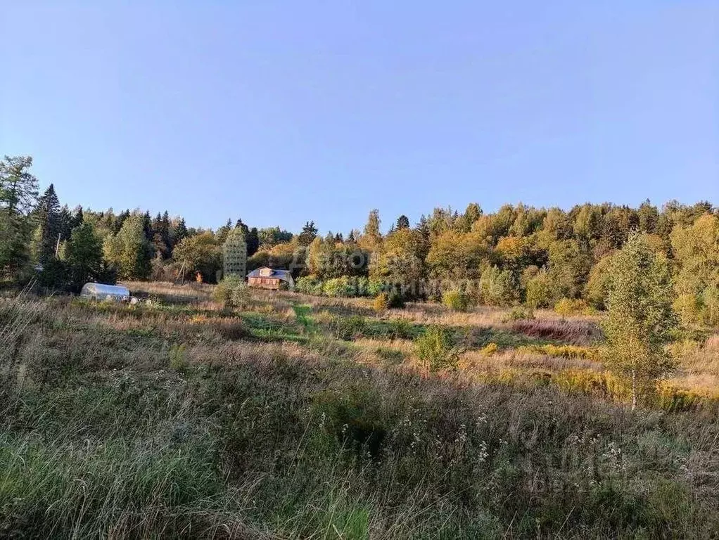 Участок в Новгородская область, Любытинское с/пос, д. Кремница  (15.0 ... - Фото 2