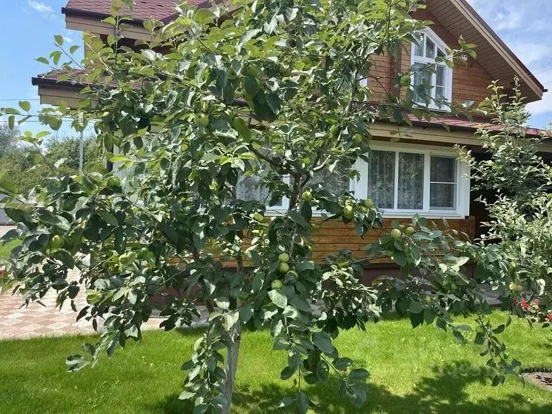 Дом в Самарская область, Красный Яр с/пос, пос. Кириллинский ул. ... - Фото 2