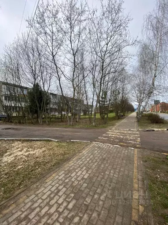 1-к кв. Московская область, Раменский муниципальный округ, с. Софьино ... - Фото 2