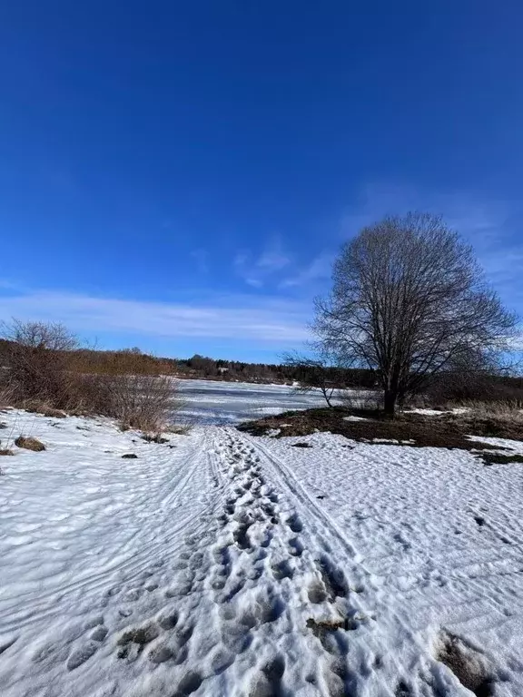 Участок в Псковская область, Палкинская волость  (12.0 сот.) - Фото 1