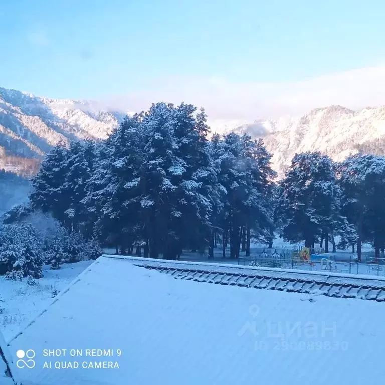 Дом в Алтай, Чемальский район, с. Чемал Курортная ул., 34 (25 м) - Фото 1