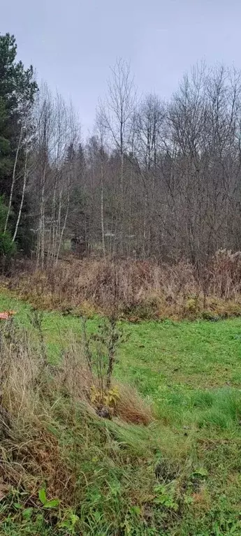 Участок в Владимирская область, Александровский муниципальный округ, ... - Фото 2