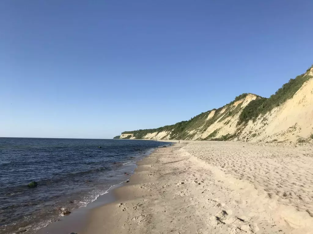 Участок в Калининградская область, Светлогорский городской округ, пос. ... - Фото 0