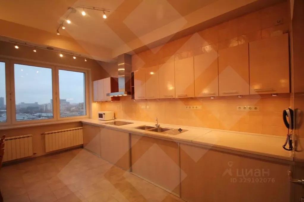 4-к кв. Москва Чапаевский пер., 3 (200.0 м) - Фото 2