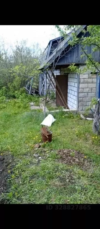 Участок в Ульяновская область, Ульяновск Динамо СНТ,  (4.9 сот.) - Фото 2