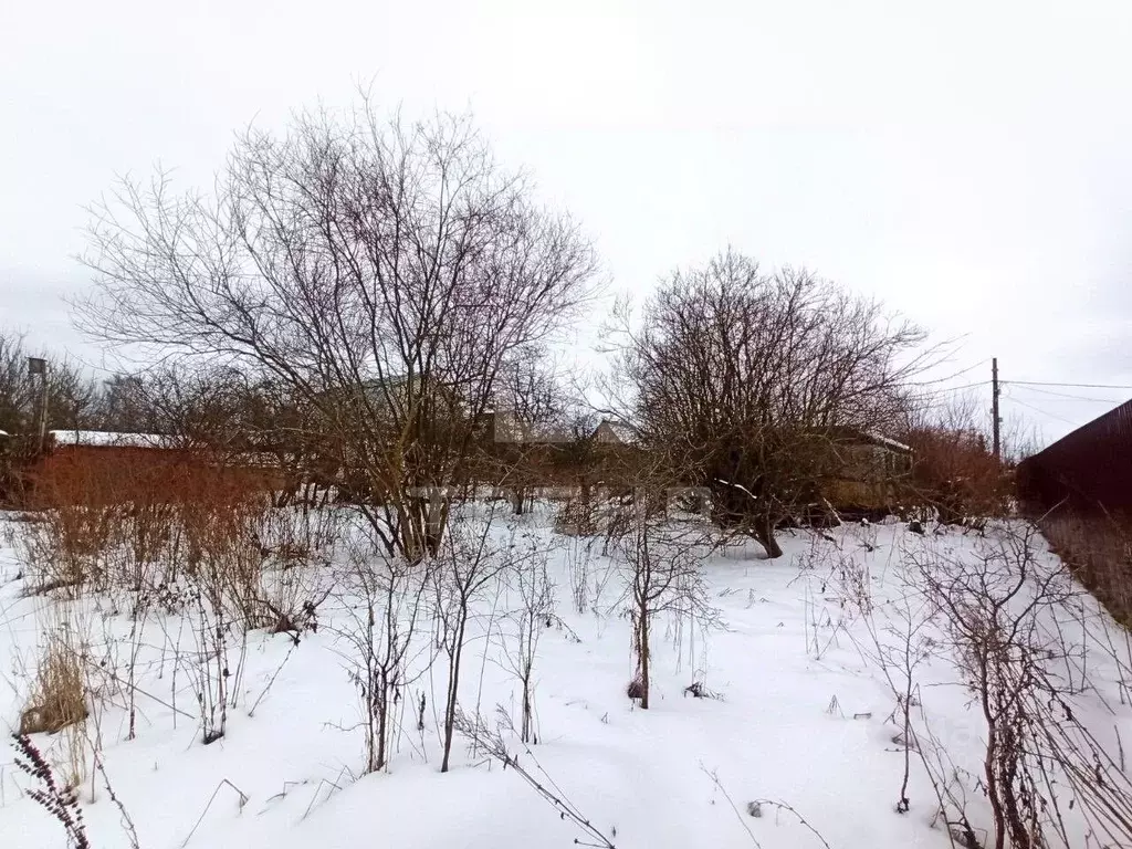 Участок в Ленинградская область, Гатчинский район, Антропшино ... - Фото 0