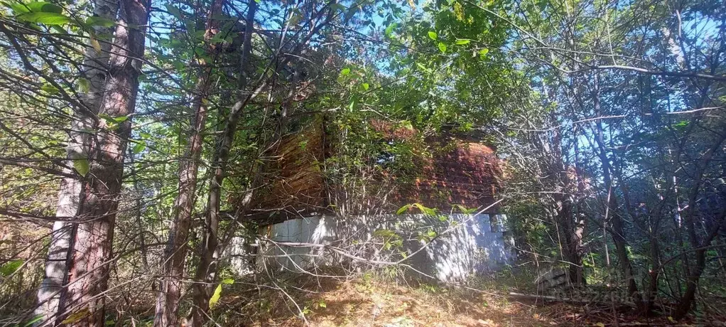 Участок в Свердловская область, Сысертский муниципальный округ, пос. ... - Фото 1