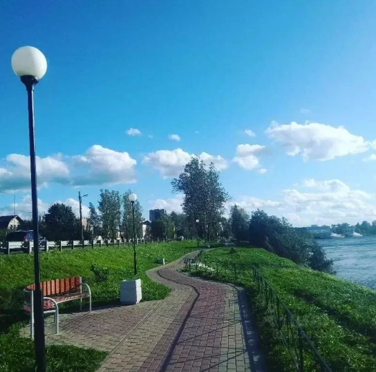 Участок в Ленинградская область, Любань Тосненский район, ... - Фото 2