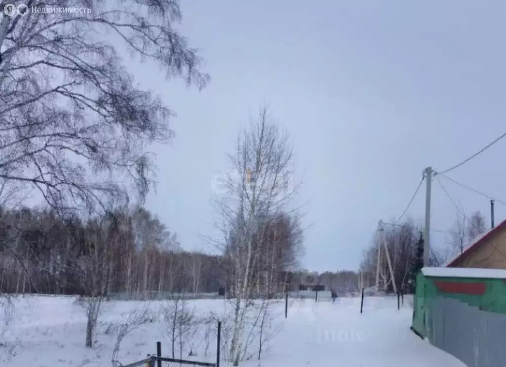Участок в Колыванский район, садоводческое некоммерческое товарищество ... - Фото 1