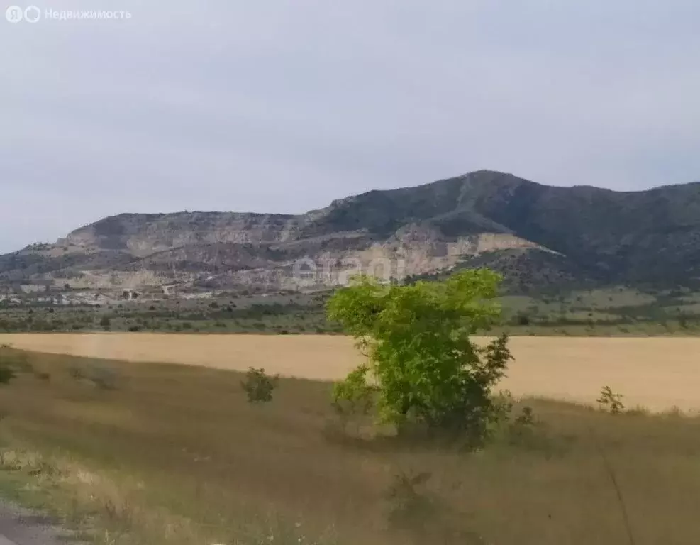 Участок в Приветное, улица Золотой Ключ (358.3 м) - Фото 1