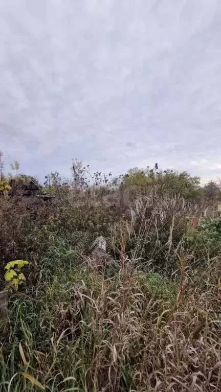 Дом в Владимирская область, Муром с. Чаадаево, ул. Муромская, 156 (50 ... - Фото 2