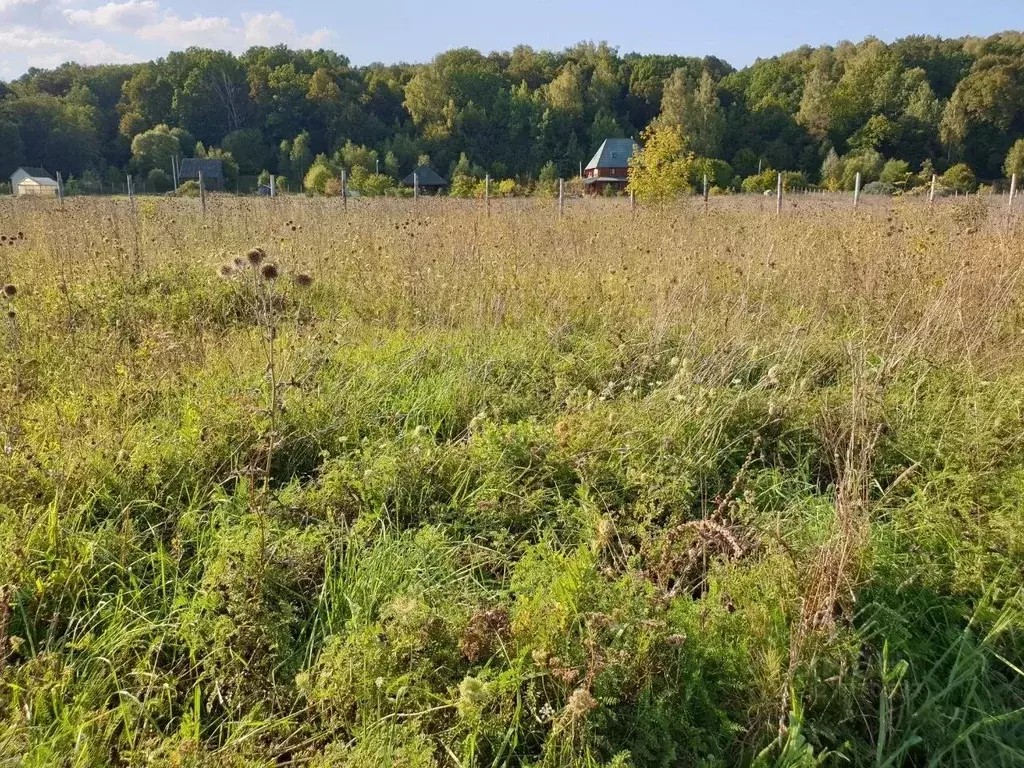 Участок в Калужская область, Тарусский муниципальный округ, Алекино ... - Фото 1
