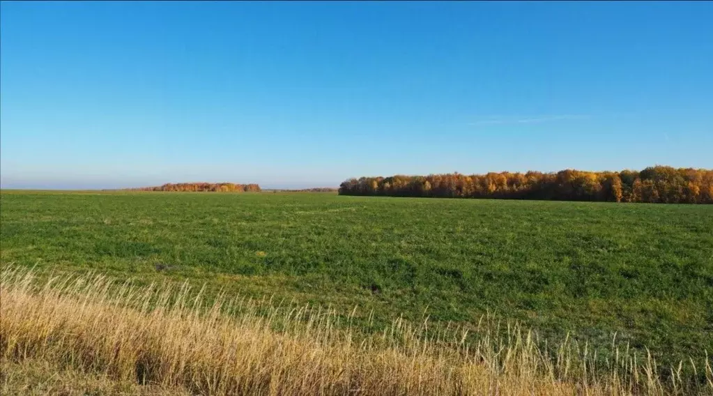 Участок в Нижегородская область, Сокольский муниципальный округ, д. ... - Фото 1