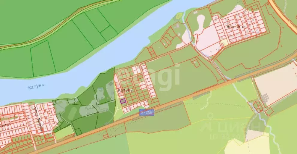 Участок в Алтай, Майминский район, Соузгинское с/пос, Катунь ДНП  ... - Фото 1