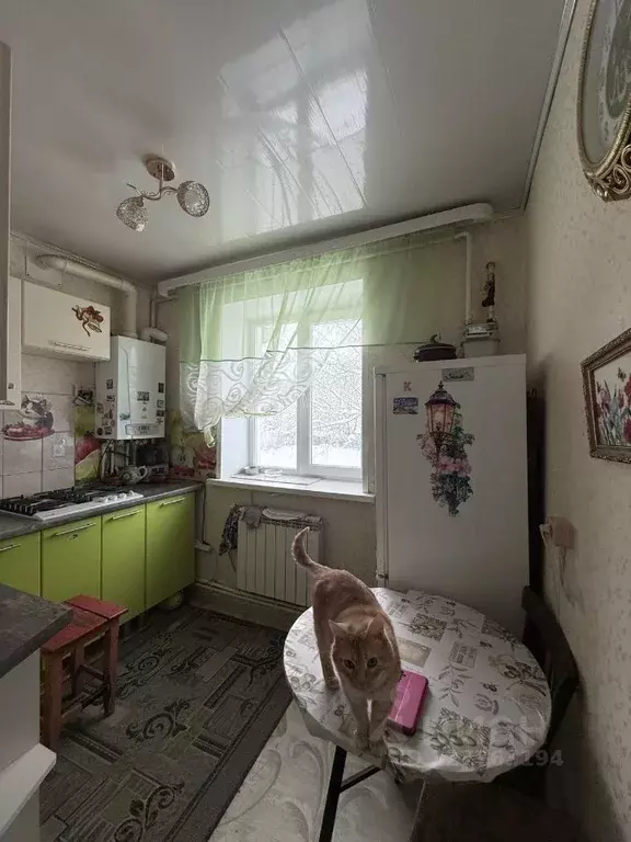 3-к кв. Рязанская область, Касимовский муниципальный округ, пос. ... - Фото 1